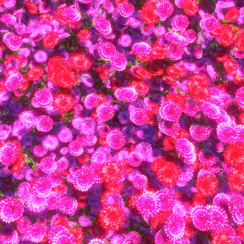 Flowers For Gemma 279