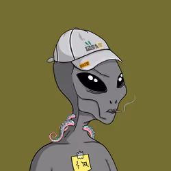 Subject 6