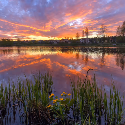 Nature