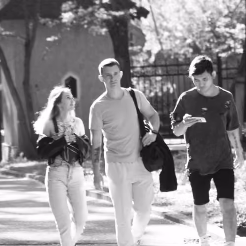walk in the park