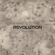 Kiel's Revolution