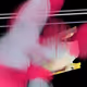 231