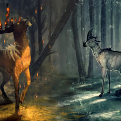 Forest