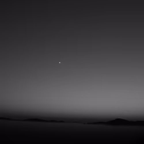 Stars