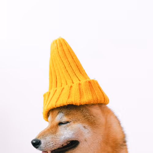 yellow 33/34