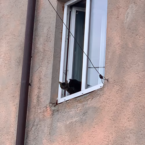Waiting for...
