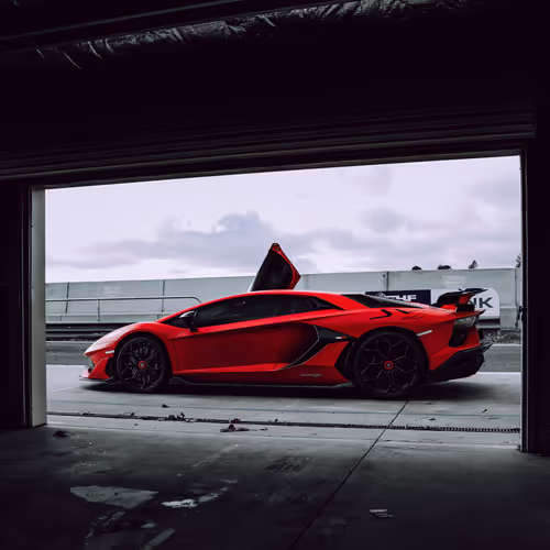 Bull run 