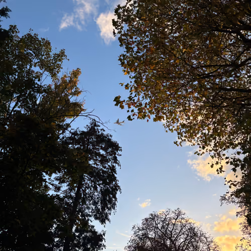 22/10/2024, 17:24