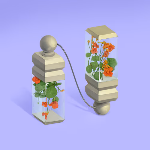 Item #36 Media