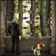 The Stroll