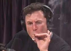 _103330503_musk2