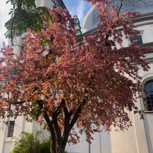 Magic of a Spring Sunday