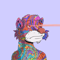 555