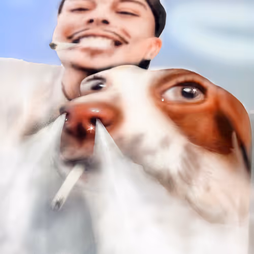 😤🤙