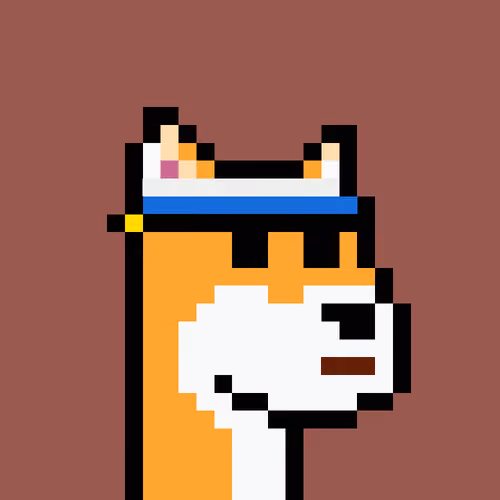 DogePunkz