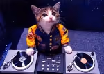 DJ CAT 1/11111