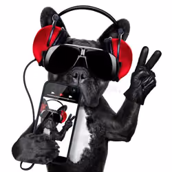 djdog