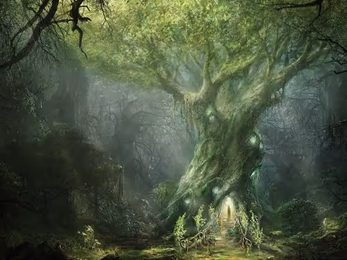 Forest