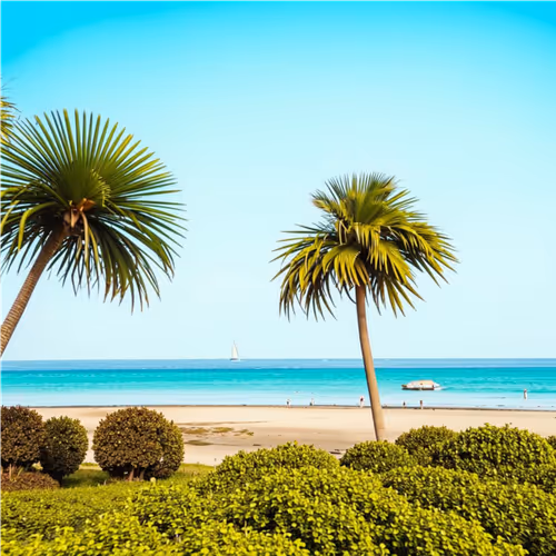 beautiful beach