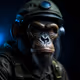 Limited Ape Persona
