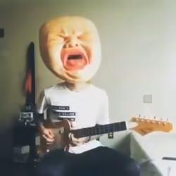 The Cry guitar