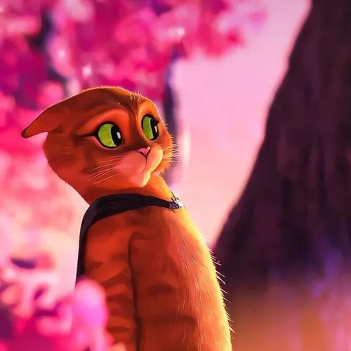zora-cat #4