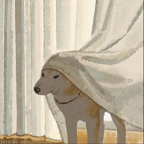 Curtain