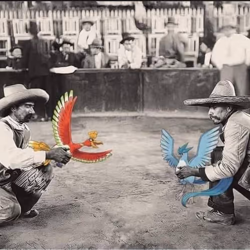 Legendary Cock Fight 🦅
