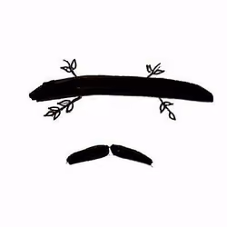 Mr Mustachio
