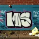 MS