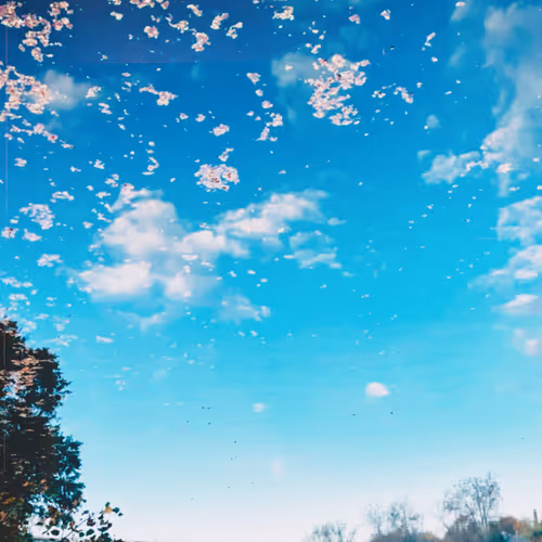 Anime Sky