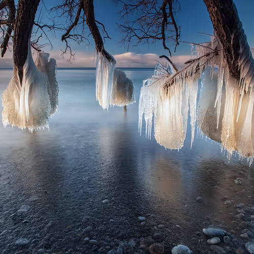 unusual in nature
