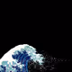 Whale