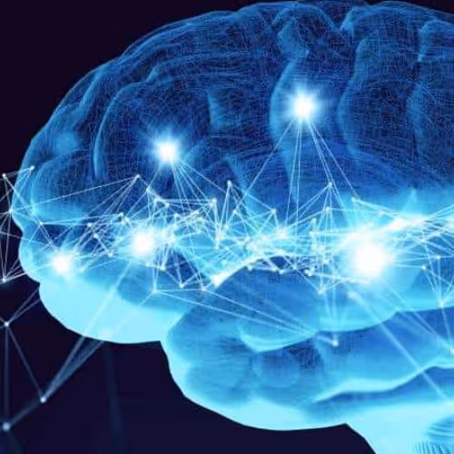 no brain