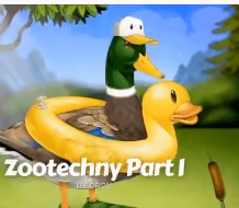 duck