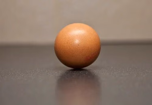 EGG ZORB  4