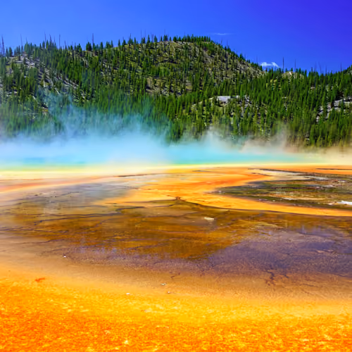 Yellowstone Nature Reserve 17/155