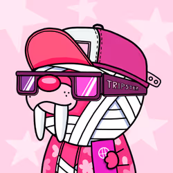 Tripster x Wally Zora #165