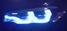 Bfosrrr 1