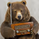 bear