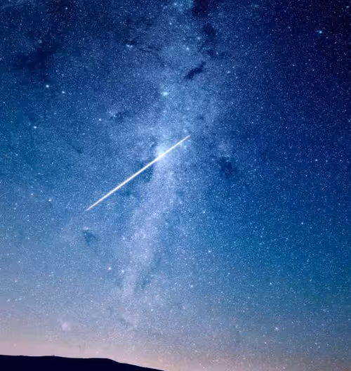 Item #1 Media