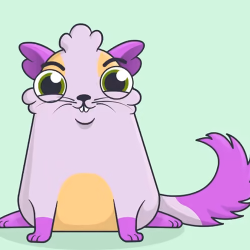 zoooora