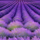 The beauty of our world through the eyes of artificial intelligence