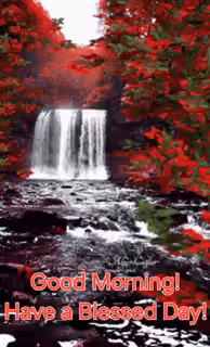 VID-20240624-WA0131