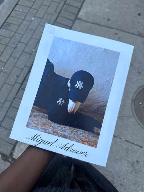 Item #8 Media