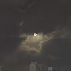 DEGEN to the moon