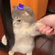 42