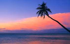 images (1)