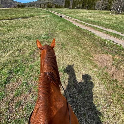 riding
