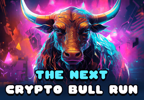 Zora Bull Run